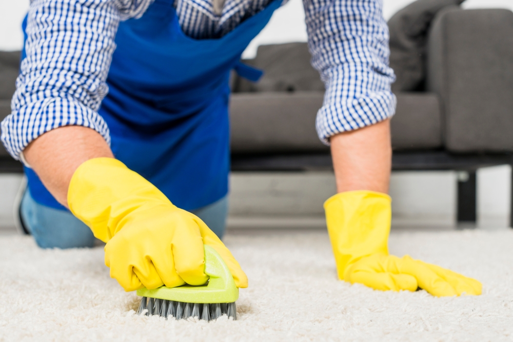 Stain & Odour Removal Specialists