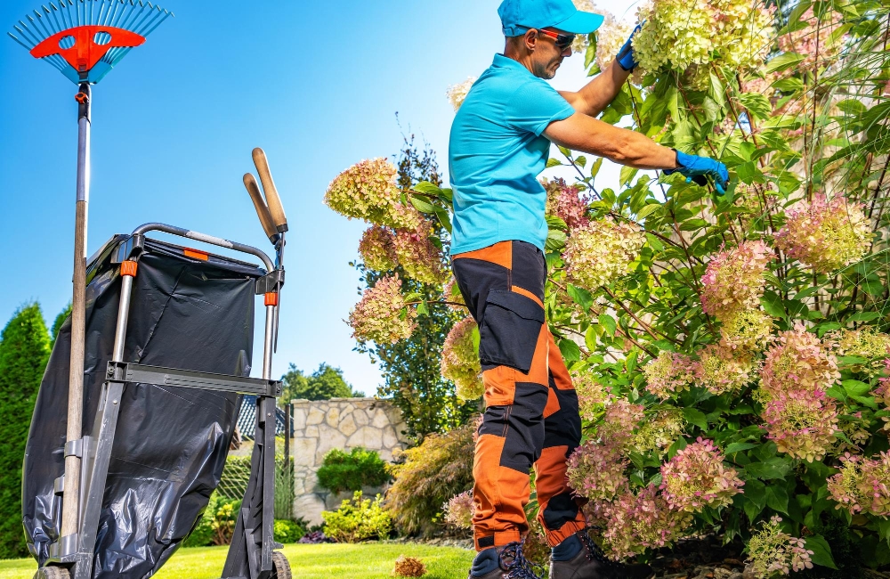 How Much Do Garden Cleaning Services Cost in London?