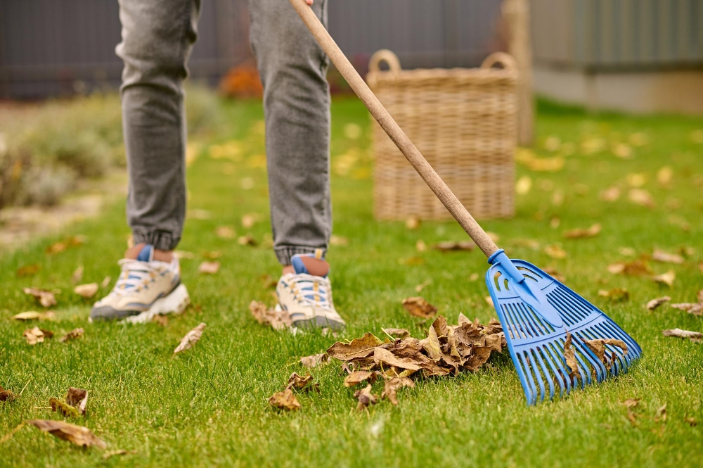 What Are Garden Cleaning Services, and Why Do You Need Them?